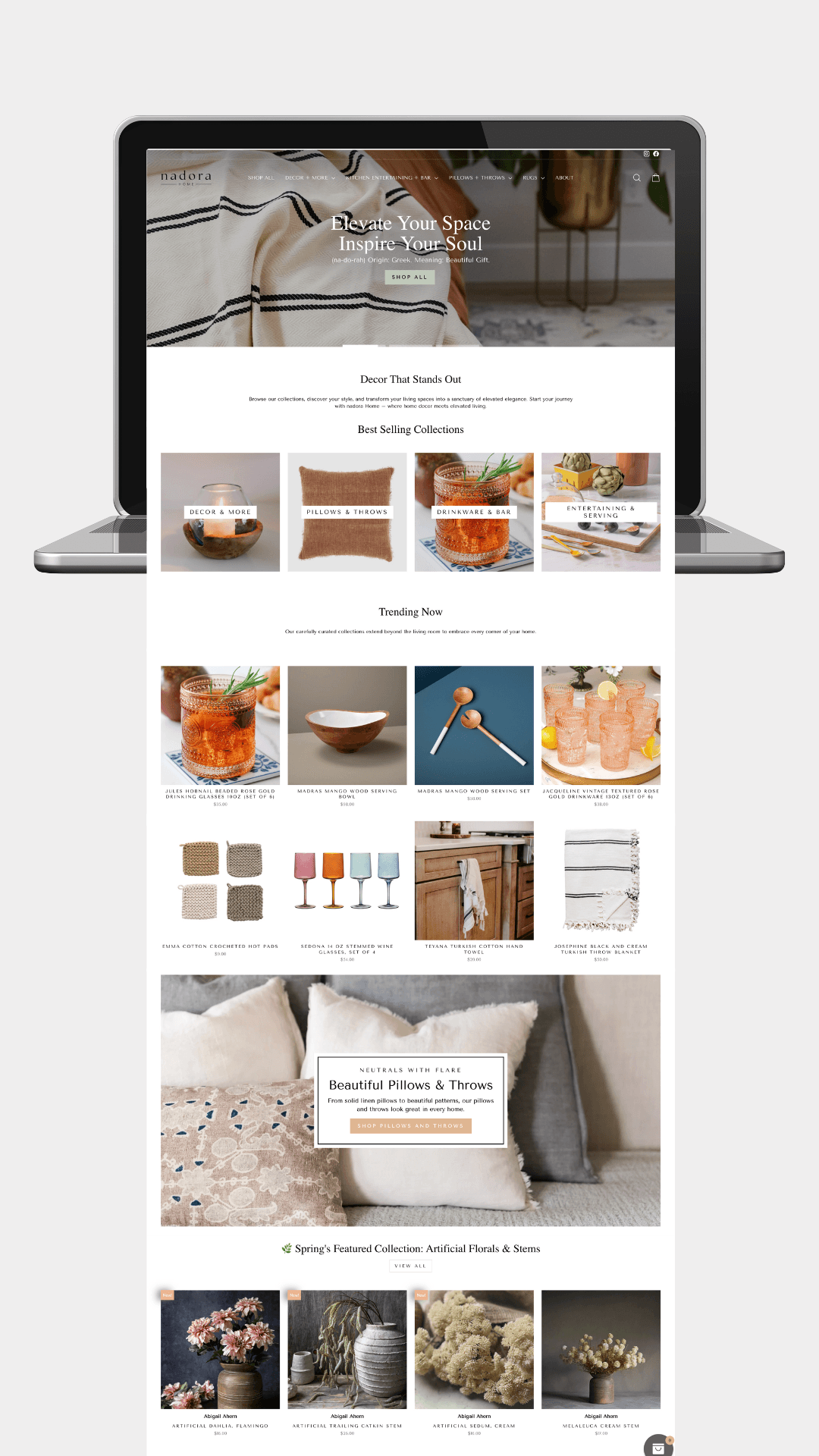 website development Colorado Springs